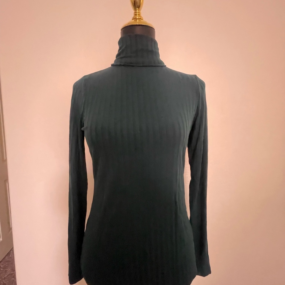 Banana Republic Luxe Rib-Knit Turtleneck in Deep Peacock Blue Green
